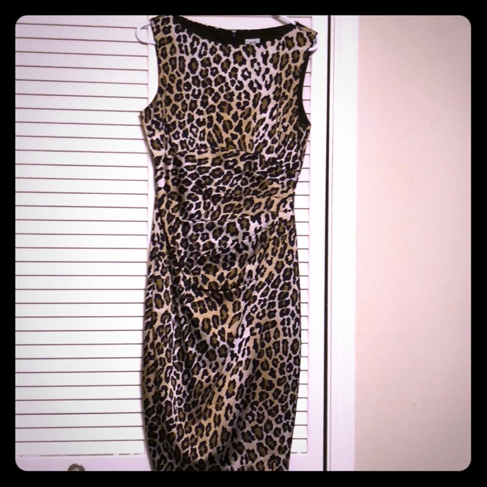 Cache’ Beautiful leopard dress size 12